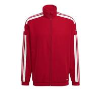 Adidas Squadra 21 M sweatshirt GP6446