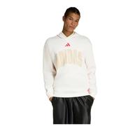Adidas Stadium Graphic Hoodie
