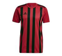 Adidas Striped 21 M GV1381 Tee