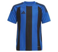 Adidas Striped 24 Short Sleeve T-shirt