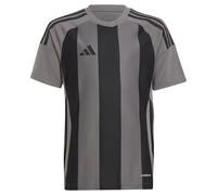 Adidas Striped 24 Short Sleeve T-shirt