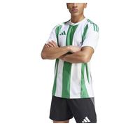 Adidas Striped 24 Short Sleeve T-shirt Green S Man
