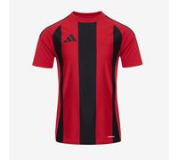 adidas Men's Striped 24 Jersey, Team Power red 2/Black, XS