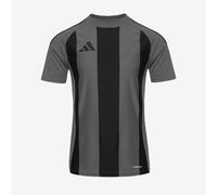 adidas Striped 24 SS Shirt