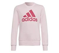 adidas Girl's G Bl SWT Sweatshirt, Thread/Terema, 12 Years