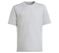adidas Unisex Kids TABELA 23 Jersey Youth, Team Light Grey/White, 13-14 Years