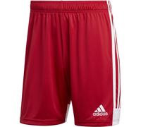 Adidas Tastigo 19 Shorts M DP3681 shorts