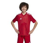 adidas Team Icon 25 Jr T-shirt JM8362
