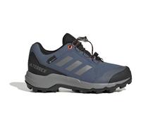 Adidas Terrex Gore-tex® Kids Hiking Shoes Blue EU 36 2/3 Kids