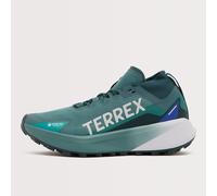 adidas Terrex Men's Agravic GORE-TEX Trail Running Shoes, Preloved Teal / Cloud White / Semi Lucid Blue