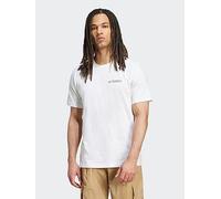 adidas Terrex Mens Outdoor Graphic T-Shirt, White/Grey Three, Size S, Men White/Grey Three