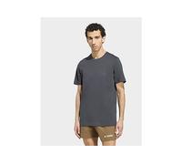 adidas Terrex Mountain Graphic T-shirt - Grey - Mens 2XL