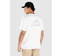 adidas Men's Terrex Graphic T-Shirt, White, S