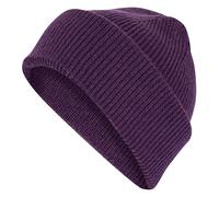 adidas Unisex Terrex Multi Beanie, Aurora Plum, L