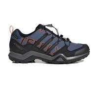 Adidas Terrex Swift R2 GTX Shoe: Wonder Steel/Black: 9 Size: 9, Colour