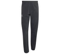 adidas Terrex - Xperior Light Pants - Walking trousers size S - Regular, grey