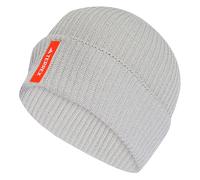 adidas Unisex Terrex Xploric Reflective Beanie, Grey Two, L