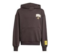 adidas The Simpsons Hooded Sweat Kids, Cotton, Brown