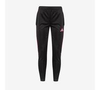 adidas Tiro 23 Club Slim Training Pants