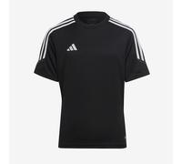 Adidas Kids Tiro 23 Club Football Jersey Juniors Short Sleeve Sports Training