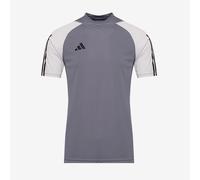adidas Tiro 23 Junior Competition SS Shirt
