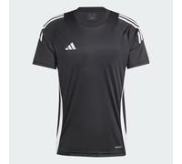 Adidas Tiro24 Short Sleeve T-shirt White L / Regular Men