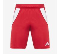 adidas Tiro 24 Shorts