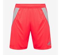 adidas Tiro 24 Shorts