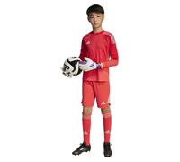 Tiro 25 Pro Goalkeeper Shorts Kids
