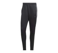 adidas Tiro WordMark M IA3048 pants