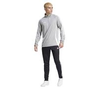 Adidas Tiro24 Half Zip Sweatshirt Grey XL / Regular Men