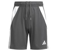 Adidas Tiro24 Shorts