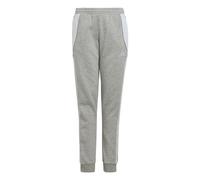 adidas Tiro 24 Junior Sweat Pants Grey
