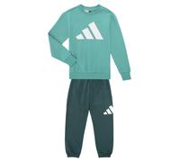 adidas Tracksuits Essentials Joggers Set Kids in Green 15 / 16 years