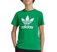 adidas Trefoil Boys Green T-Shirt, Green, 12-13 Years