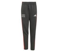 adidas Unisex Kids Audi Formula ONE Team DNA Pant, Utility Black, 15-16 Years