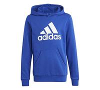 adidas Unisex Kids Big Logo Essentials Cotton Hoodie, semi lucid blue/white, 11-12 Years