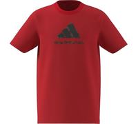 adidas Unisex Kids CAMO Graphic T-Shirt Junior, Pure Ruby, 13-14 Years