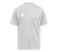 Adidas Campeon 25 Short Sleeve T-shirt Grey 5-6 Years Kids