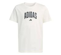 adidas Unisex Kids Collegiate Graphic T-Shirt Junior, Off White, 7-8 Years