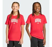 adidas Unisex Kids Collegiate Graphic T-Shirt Junior, Pure Ruby/Off White, 13-14 Years