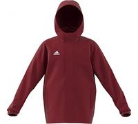 adidas Unisex Kids Entrada 22 All-Weather Jacket