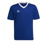 adidas Unisex Kids Entrada 22 Jersey, Royal Blue, 9-10 Years