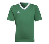 adidas Unisex Kids Entrada 22 Jersey, Team Green / White, 5-6 Years
