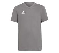 adidas Unisex Kids Entrada 22 Jersey, Team Grey Four, 13-14 Years