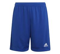 adidas Entrada 22 Shorts Juniors 9-10 Years Blue