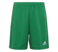 adidas Unisex Kids Entrada 22 Shorts, Team Green, 7-8 Years