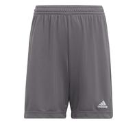 adidas Unisex Kids Entrada 22 Shorts, Team Grey Four, 7-8 Years