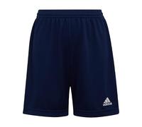 adidas Unisex Kids Entrada 22 Shorts, Team Navy Blue 2, 11-12 Years