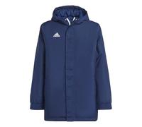 adidas Unisex Kids Entrada 22 Stadium Jacket, Team Navy Blue 2, 15-16 Years